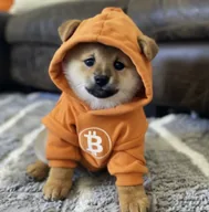 just a dog (DOG) token icon