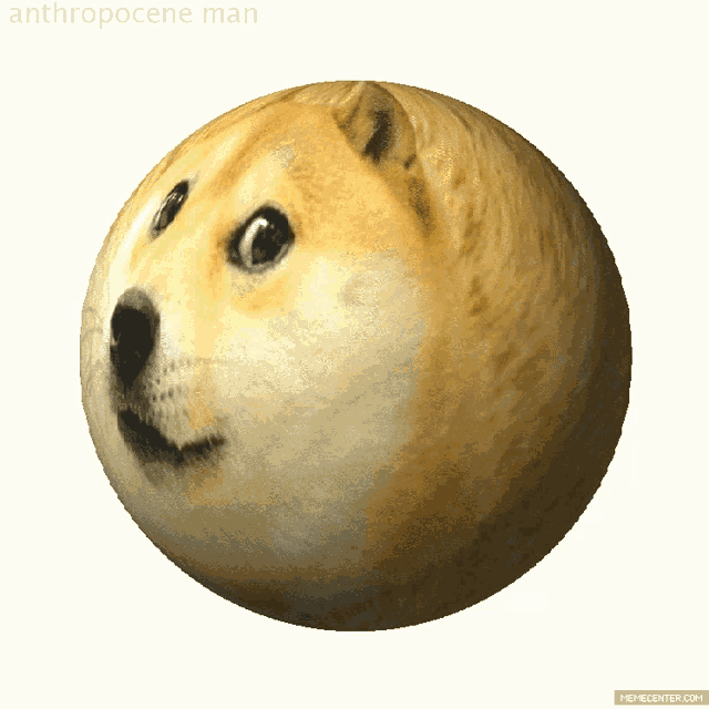 Doge ball (DOGEBALL) token icon