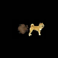 Doge Fart (DOGEFART) token icon