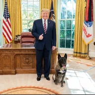 First Trump doggy (DOGGY) token icon
