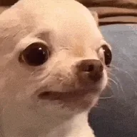 Evildogi (DOGI) token icon