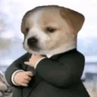 DOG IN A SUIT (DOGINASUIT) token icon