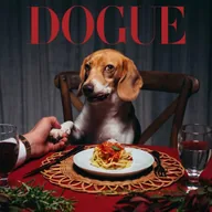 DOG VOGUE (DOGUE) token icon
