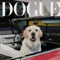 Dogue (DOGUE) token icon