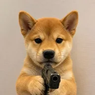 Dogwifgun (DOGWIFGUN) token icon