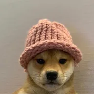 dogwifhat (WIF) token icon