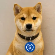 dogwifcollar (DOLLAR) token icon