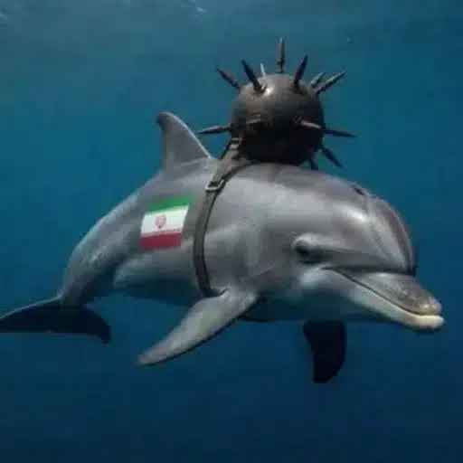 kamikaze dolphins (DOLPHINS) token icon