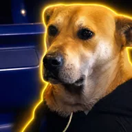 DREAMDOG (DREAMDOG) token icon