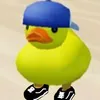 dude (DUDE) token icon