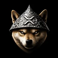 DogwifXRP (DWXRP) token icon