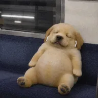 eeepydog (EEEPYDOG) token icon