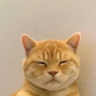eepy cat (EEPY) token icon