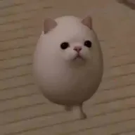 EGGCAT (EGGCAT) token icon