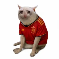 Spain Cat (ESPCAT) token icon