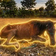 The Horse of Hope (ESPERANZA) token icon