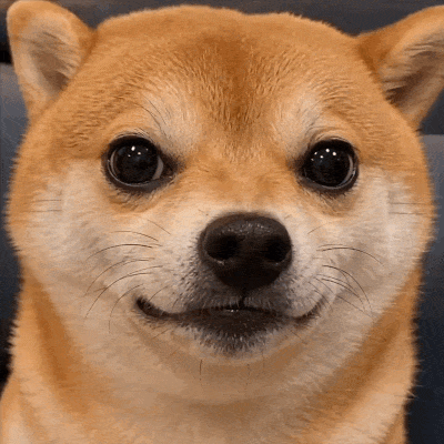 EvilShib (EVILSHIB) token icon