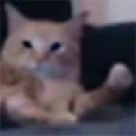 First PF deployed by cat (FCAT) token icon