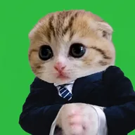 Feline Finance (FEFI) token icon