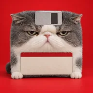 Memory Cat (FLOPPY) token icon