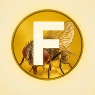 FlyCoin (FLYC) token icon