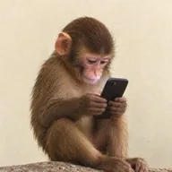 apeonfone (FONE) token icon