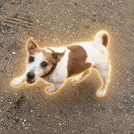 choko frodo (FRODO) token icon