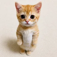 El Gato (GATO) token icon