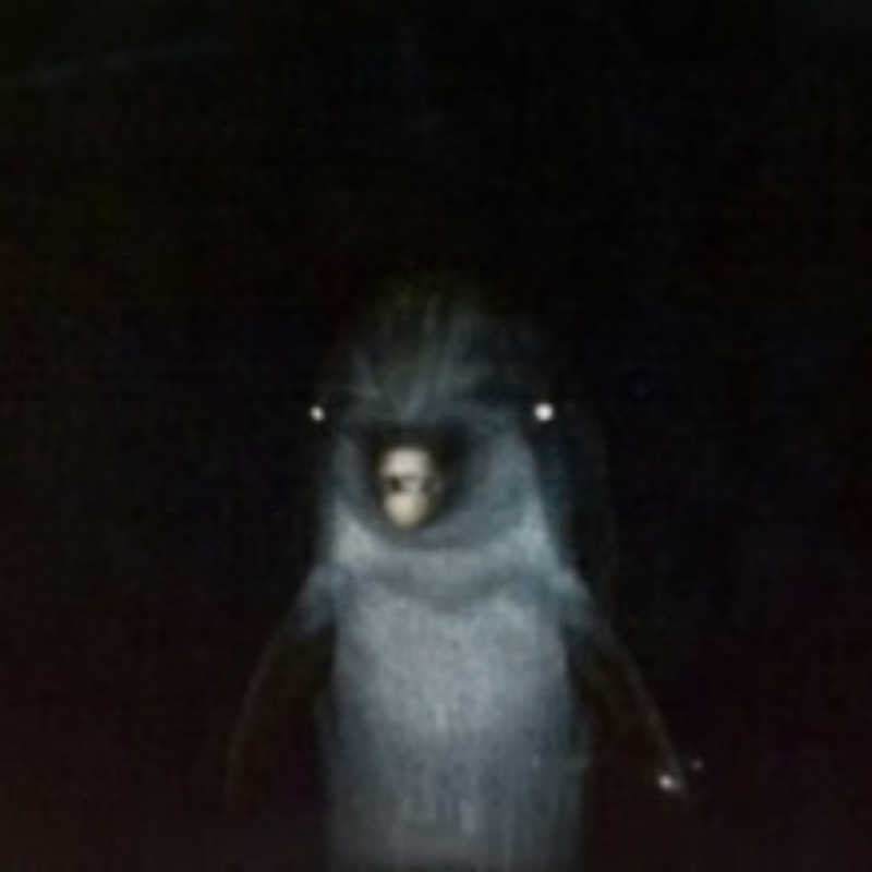 Gerald The Dolphin (GERALD) token icon