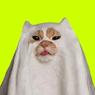 GHOSTCAT (GHOSTCAT) token icon