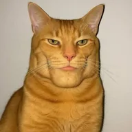 GIGA CAT (GIGACAT) token icon