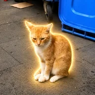 The Friendly Orange Cat (GINGER) token icon