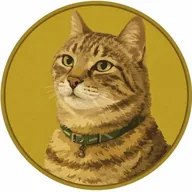 GinnanCoin (GINNAN) token icon