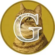 Ginnancoin (GINNAN) token icon