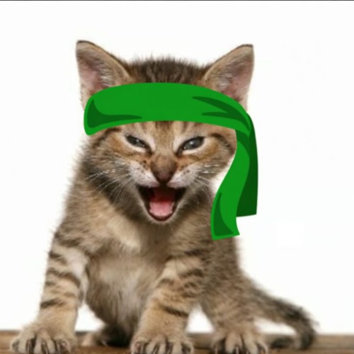 Green Kitten Crew (GKC) token icon