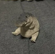 Gomu Gator (GOMU) token icon