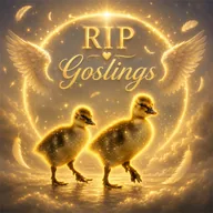 RIP Goslings (GOSLINGS) token icon