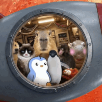  If War We Will Go to Mars (GOTOMARS) token icon