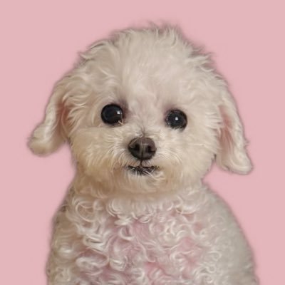 しろい妖精さん (GRACE) token icon