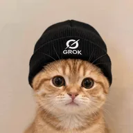 Grokcat (GROKCAT) token icon
