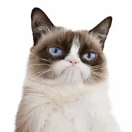 Grumpy Cat (GRUMPY) token icon