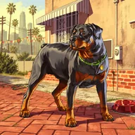 GTA Dog Mascot (CHOP) token icon