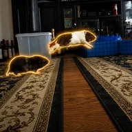 from rug to rug (GUINEAS) token icon