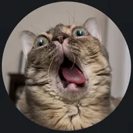 The Disabled Cat (GUMBUS) token icon