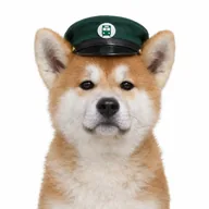 hachi (HACHI) token icon
