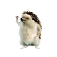 HahaYes (RIZO) token icon