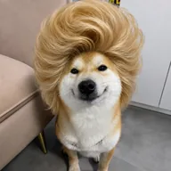 Big Hair Inu (HAIRINU) token icon