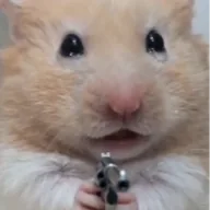 hurt hammy (HAMMY) token icon