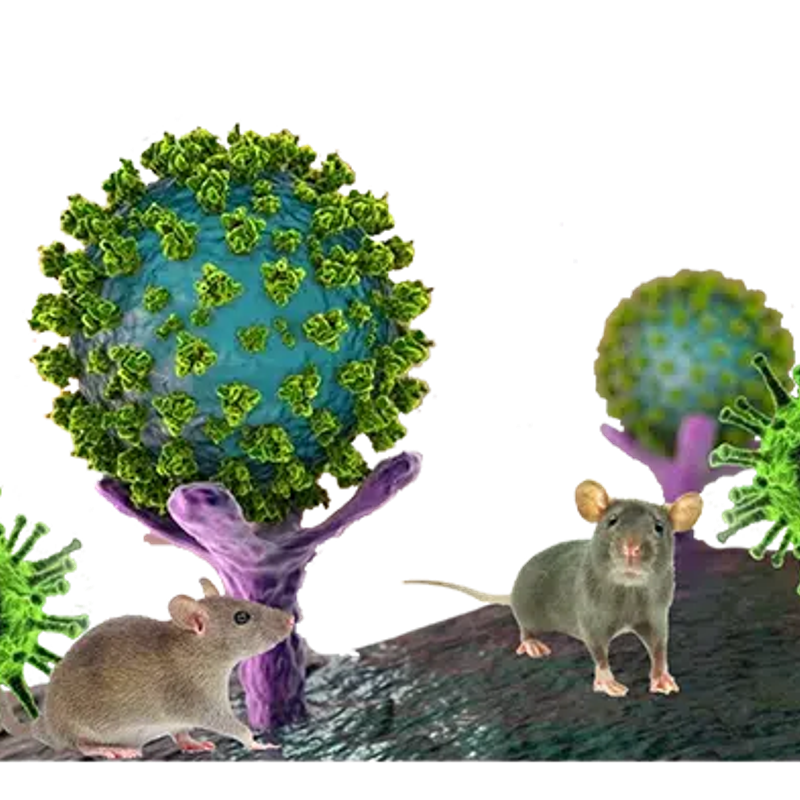 Hantavirus (HANTA) token icon