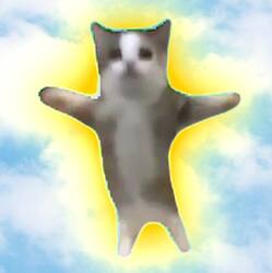Happy Cat (HAPPY) token icon